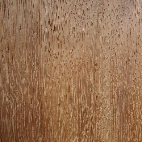 Iroko hardwood