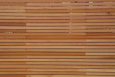 Cedar fencing