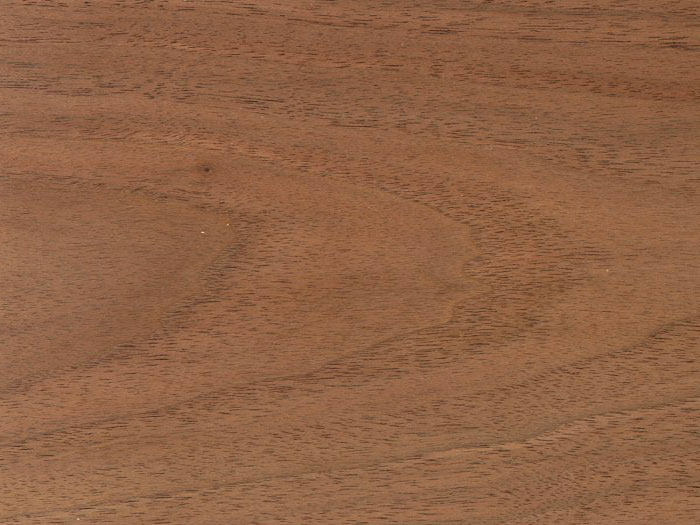 Black American Walnut